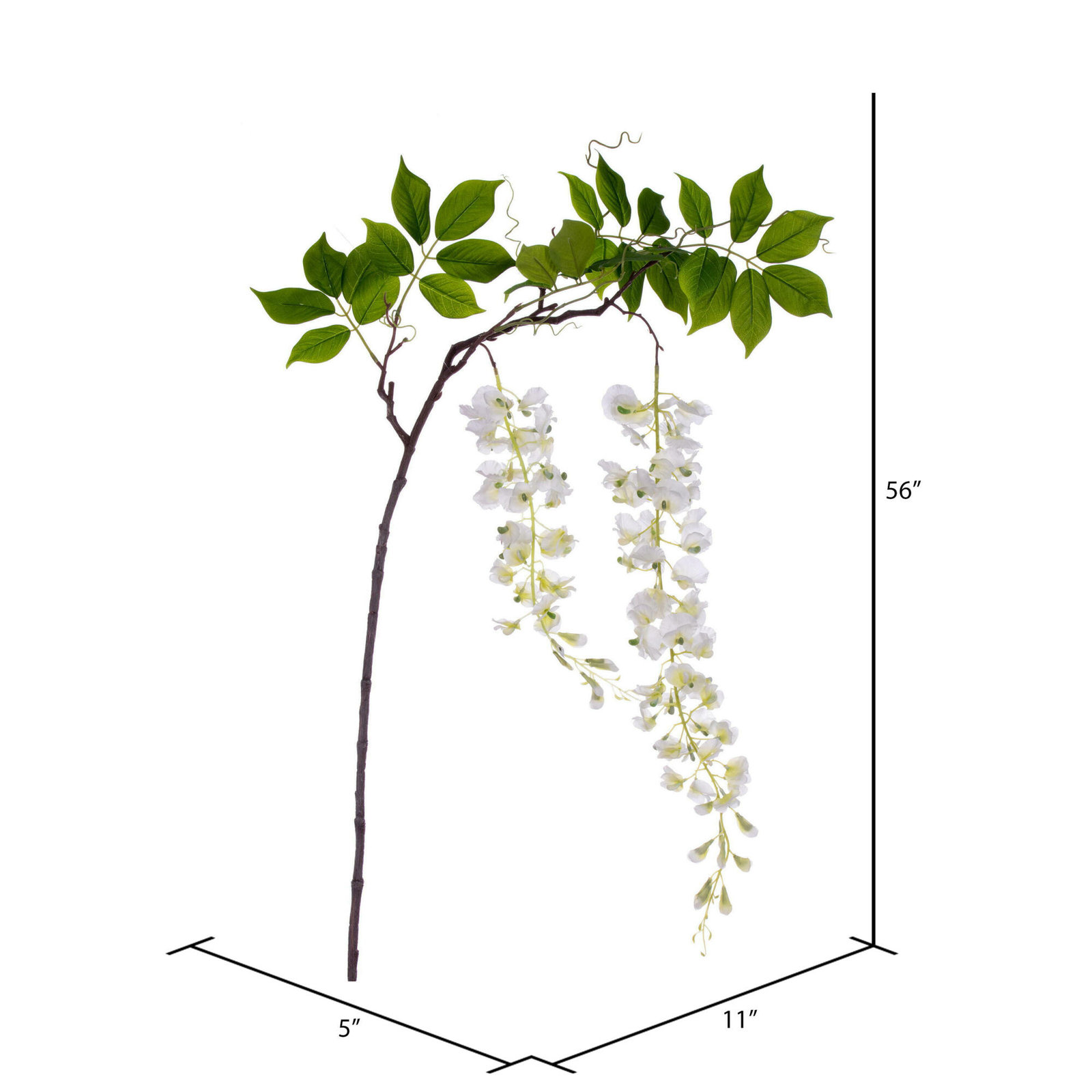 Wisteria Floral Stems, White 