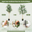165Cm Artificial Maple Tree in Planter
