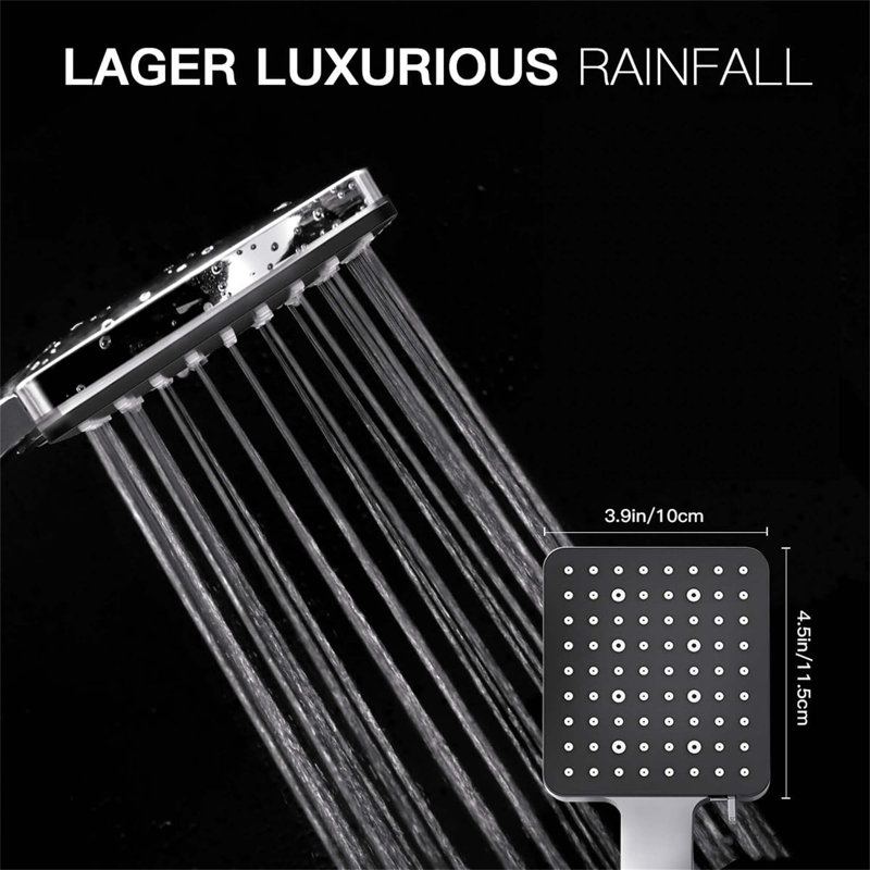 Handheld Shower Head, Silver/Matte Black