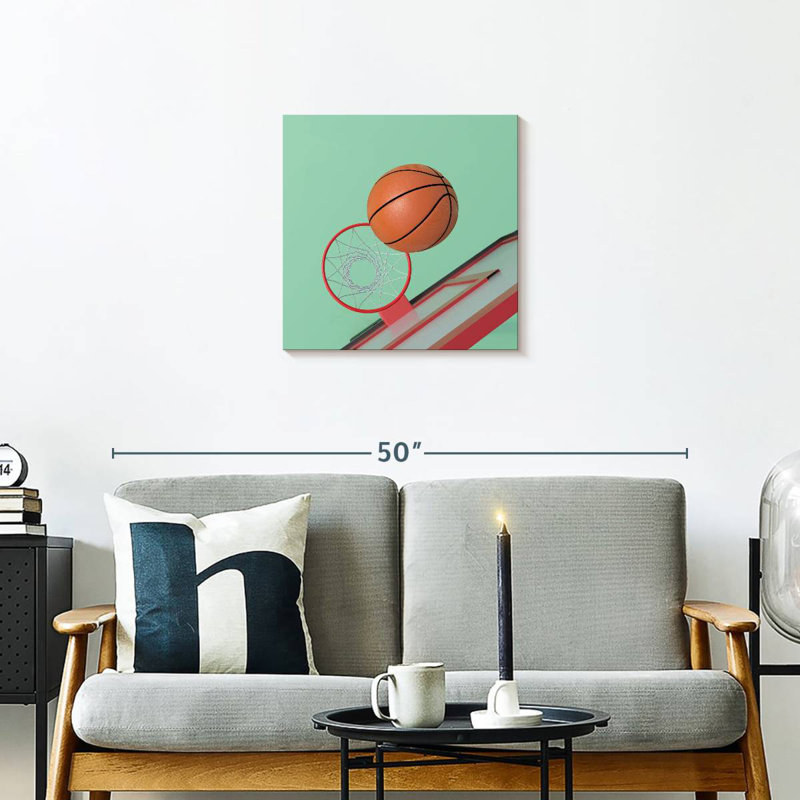 Sirci dans le panier de basketball, H 20 po x l 20 po