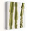 3 cactus abstraits, art mural contemporain-1217101277
