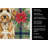 Goldendoodle Christmas PoinsettIas Kitchen Towel-2080583763