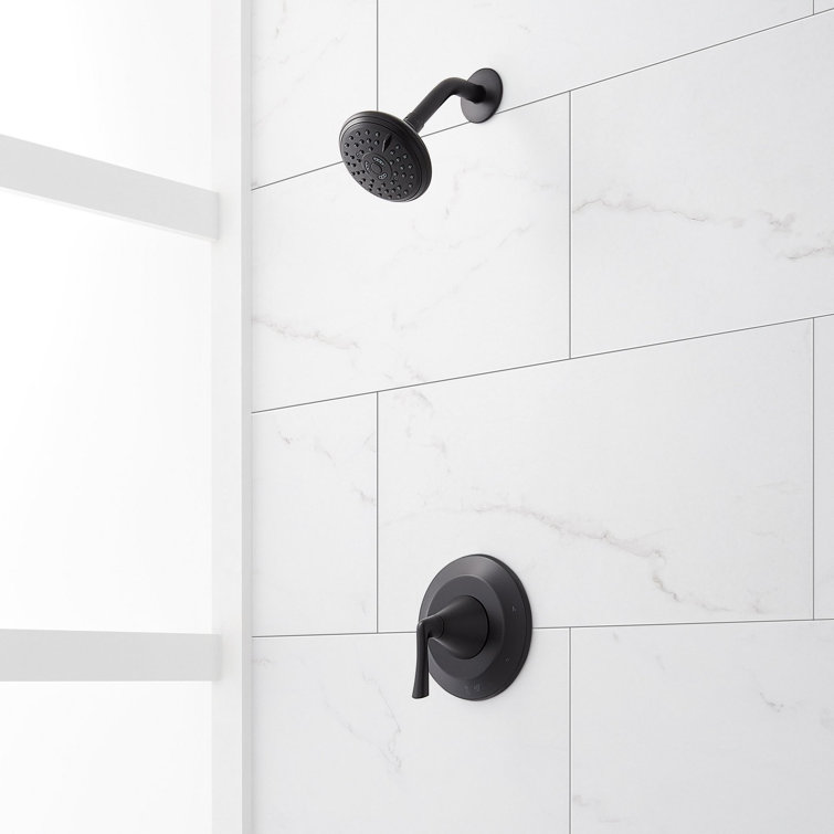 Pressure Balanced Dual Function Shower Faucet