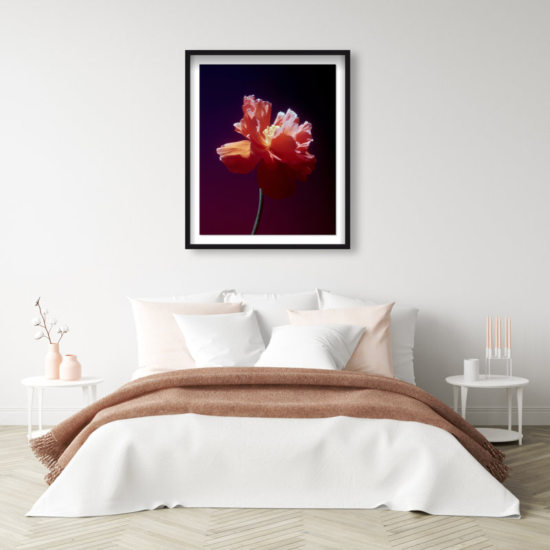 Taffeta Twilight II Framed Graphic Art, 21.5"H x 17.5"W, Black Shadowbox