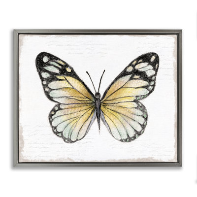 Art mural sur toile flottante encadrée Country Butterfly par Janet Tava