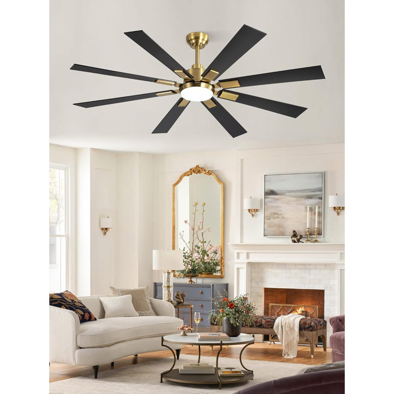 Black Gold Ceiling Fan, Black/Gold