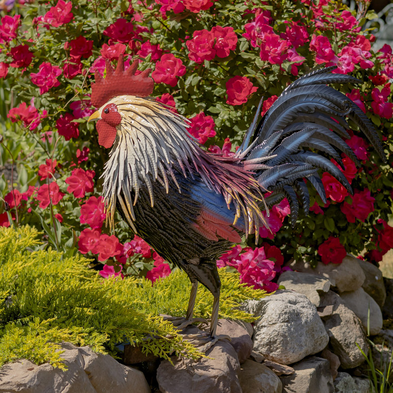 Statue de coq Azeema