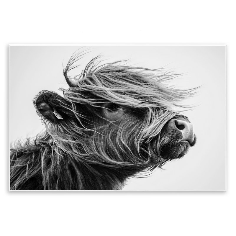 Plaque murale Handsome Highland Portrait, design par Tina LeCour, H 13 po x l 19 po