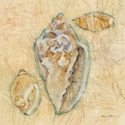 Shells IV by Cheri Blum