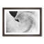 Feathers of a Swan - Picture Frame Graphic Art Print-56713405-56713409