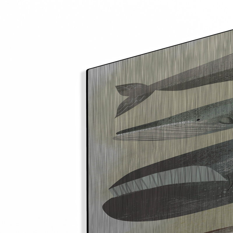 «Whales» par Pete Oswald, H 36 po x l 24 po