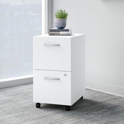 Easy Office 2 Drawer Mobile Vertical Filing Cabinet