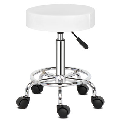 Saltsburg Adjustable Height Ergonomic Lab Stool