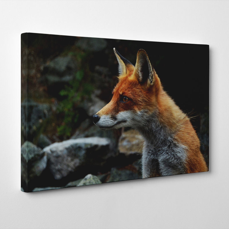 Red Fox Photographic - Wrapped Canvas, 35cm H x 50cm W