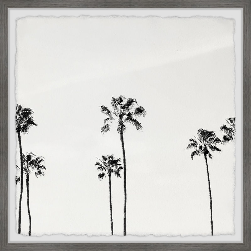 B&W Coco Trees - Single Picture Frame Print, 30cm H x 30cm W x 3.81cm D