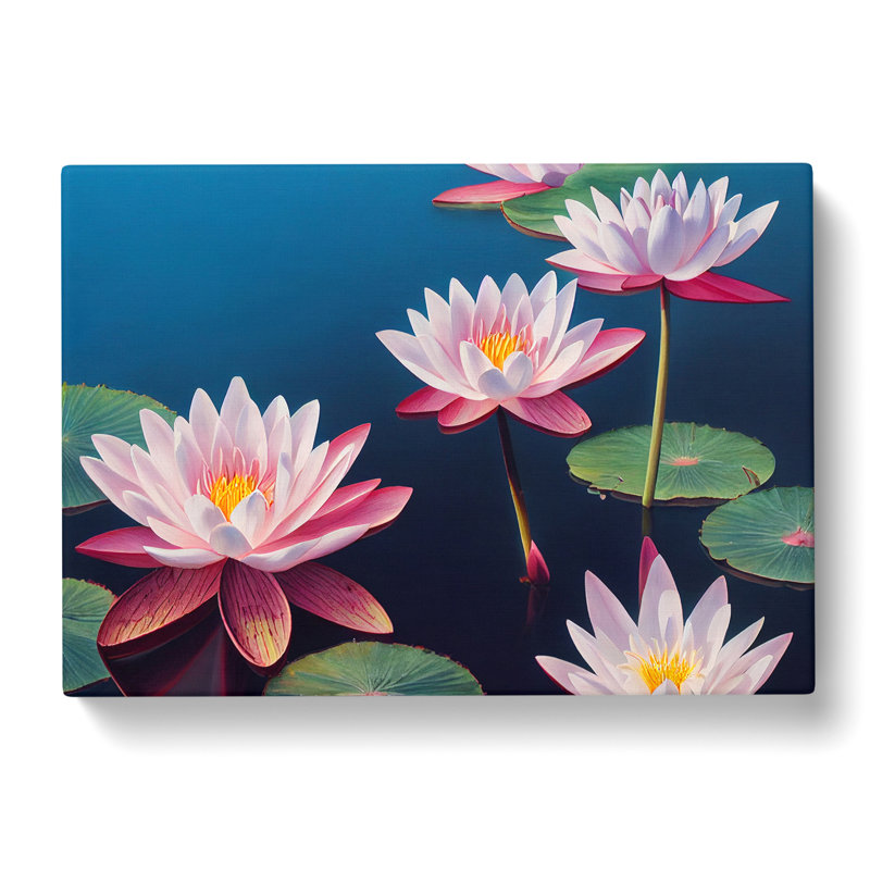 Cosmopolitan Water Lily Flowers - Wrapped Canvas, 50cm H x 76cm W x 3cm D