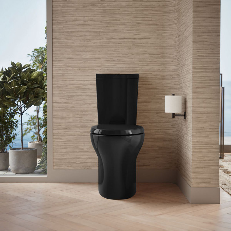Persuade 1.6 GPF Elongated Two-Piece toilet (Seat Not Included), Black