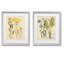Impression botanique antique, ensemble de 2 reproductions d’art graphique encadrées sur papier