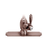 Traditional 10" Escutcheon Plate