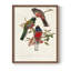 Impression encadrée Elegant Trogons IX - bois massif-1756039823-1756039824