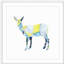 «Geo Animal II», reproduction encadrée-88364784