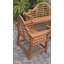 Passarelli Outdoor Teak Dining Armchair