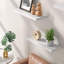 Antionette 3 Piece Floating Shelf-687523653