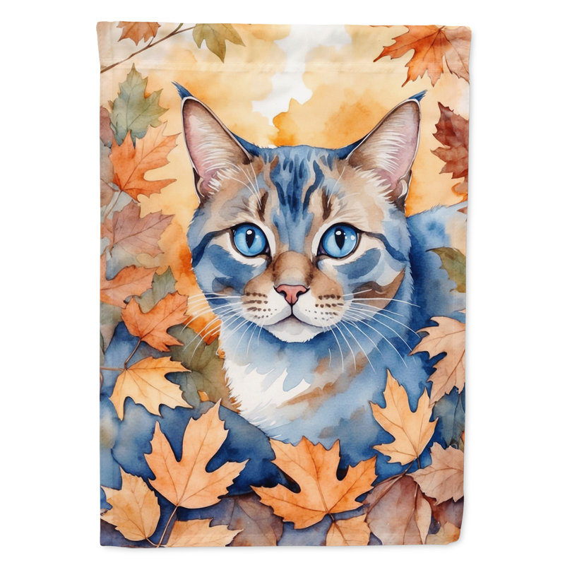 Chat en feuilles d'automne, Ojos Azules