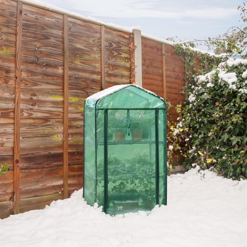 Brade 2 Ft W x 1.5 Ft D Mini Greenhouse, Green