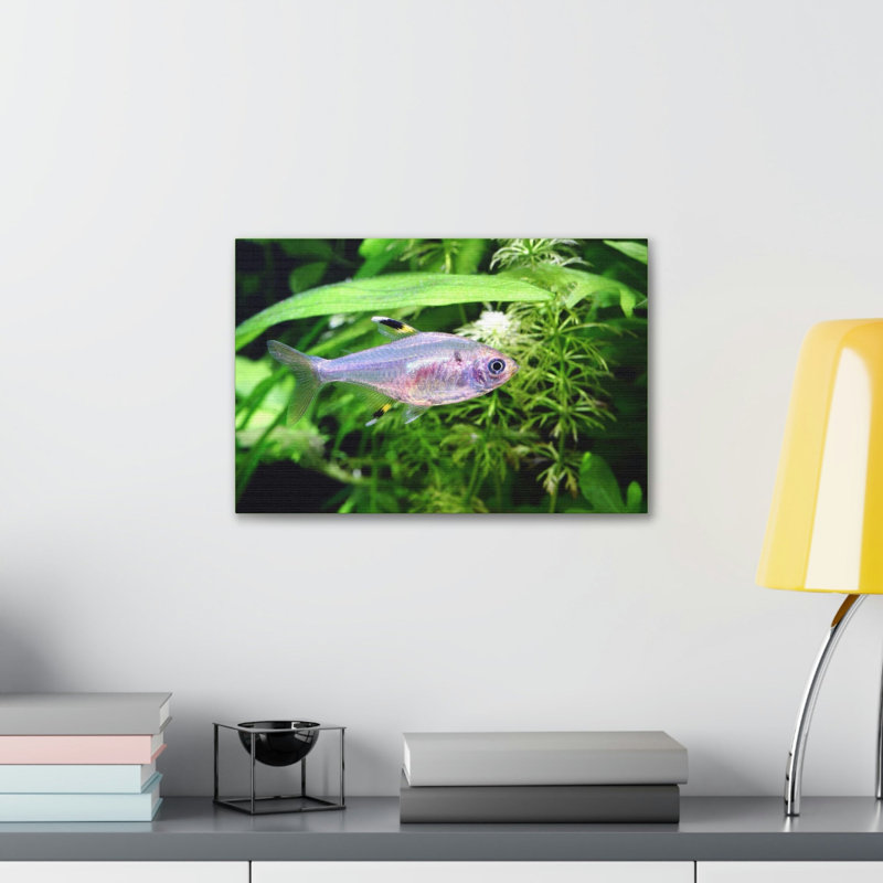 No Frame Print on Canvas