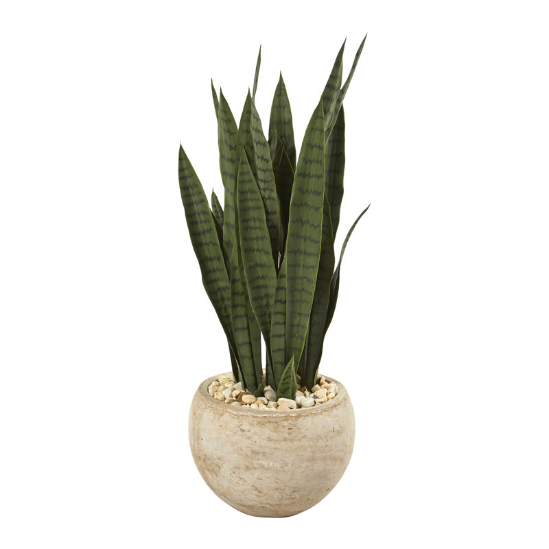 32'' Faux Snake Plant (Sansevieria) Plant in Fiber Clay Planter Primrue