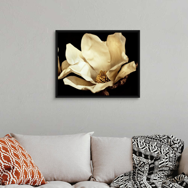 «Buttercream Magnolia I», art mural sur toile, H 30 po x l 24 po x P 1,75 po, Cadre noir