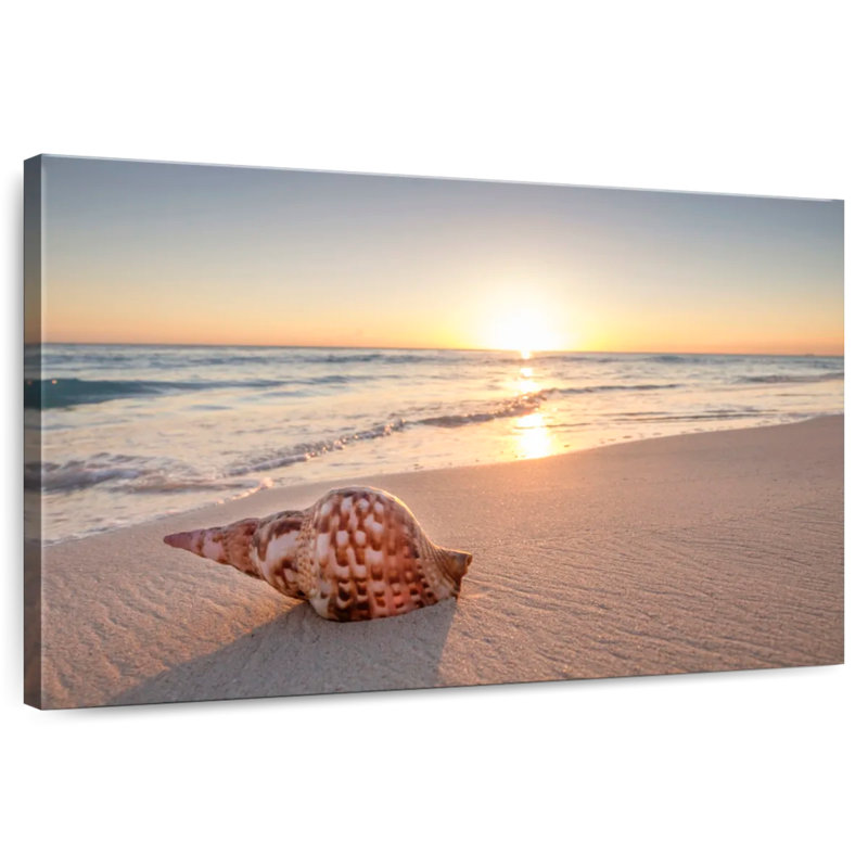 Aletra Lost Seashell