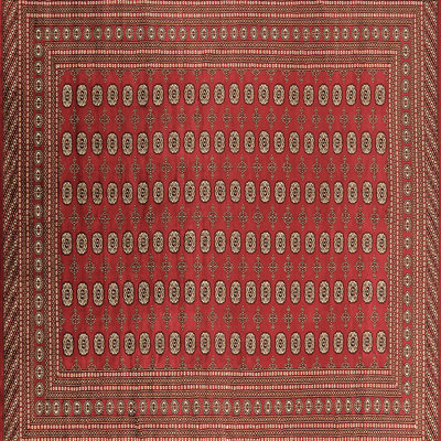 Oriental Indoor Rug