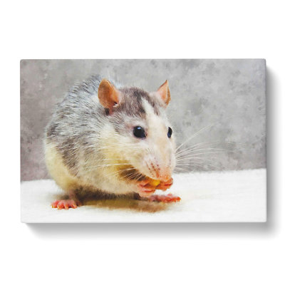 Rat - Wrapped Canvas Print