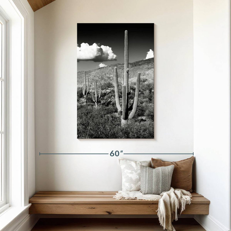 Harnek - Arizona noir - Saguaro Cactus Valley, H 45 po x l 30 po
