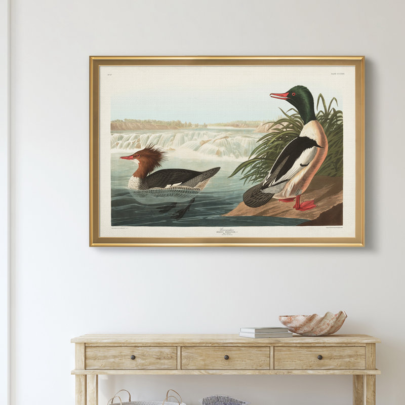 Goosander Duck - reproduction d'art sur toile, H 22,5 po x l 30,5 po x P 1,5 po, Doré