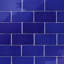 Viva 3" x 6" Ceramic Subway Tile