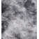 Dallum Performance Hand Tufted Sheepskin Animal Print Indoor Rug