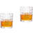 Janilee 10oz. Stainless Steel Whiskey Glass Set