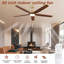 132cm Ceiling Fan with LED Lights-1141146382