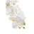 Timeless Living Gold Realtouch Orchid-109186298
