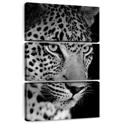 Bramopard léopard monochrome