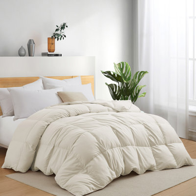 600 Fill Power Goose Down and Feather All Season Comforter Duvet Insert