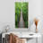 Bridge in Forest-289551225