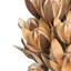Lys sur tige 20 po Natural Botanicals. Comprend 50 tiges par paquet