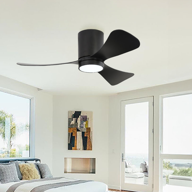 Apolino 42'' Ceiling Fan with LED Lights, Black, Black