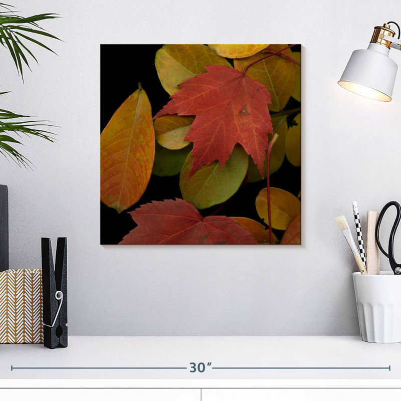 Harnek Vivid Leaves I