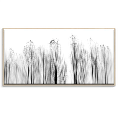 Print on Canvas