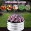 Planter